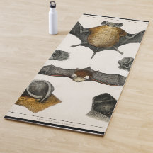 Coleção de vários morcegos