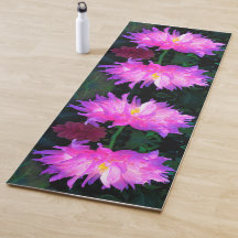 Cor-de-rosa estonteante e cacto roxo Dahlia