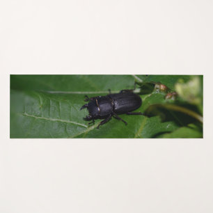 Tapete De Yoga Dorcus parallelipipedus , o escaravelho inferior