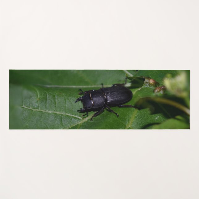 Tapete De Yoga Dorcus parallelipipedus , o escaravelho inferior (Frente (Horizontal))