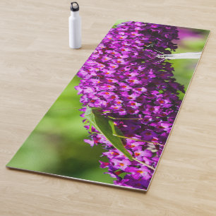 Tapete De Yoga energia katydid