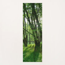 Floresta verde e floresta sépia