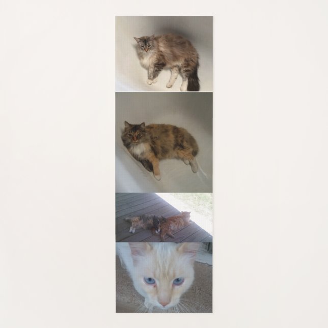 Tapete De Yoga Gato (Frente)