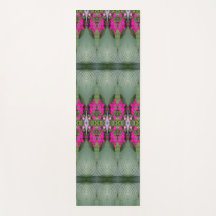 Hosta La Vista Demasiado 13