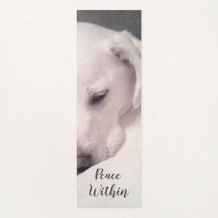 Tapete De Yoga Labrador Branco Bonito Mistura Cinza De Cães Yoga