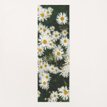 Margarida Branca de Oxeye, Moon Daisy Meadow