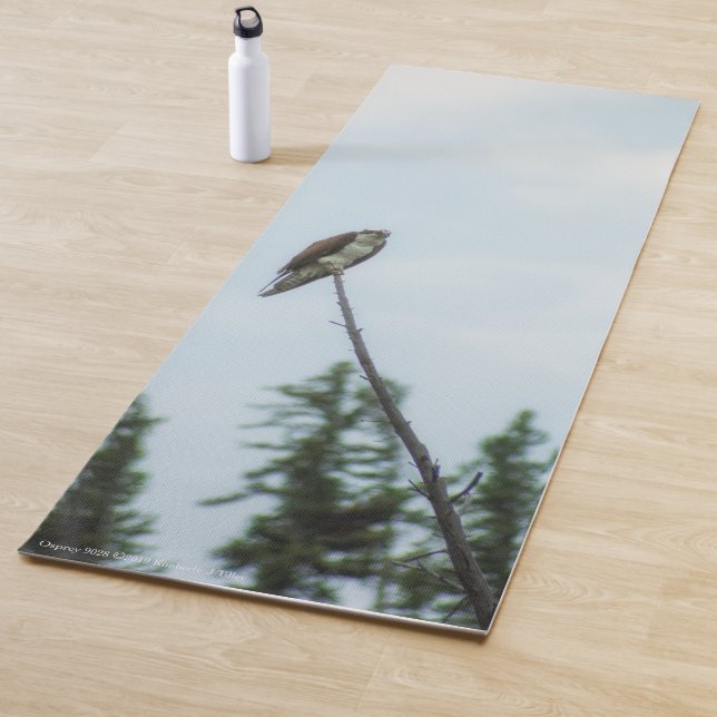 Tapete De Yoga Osprey 9028 (In Situ)