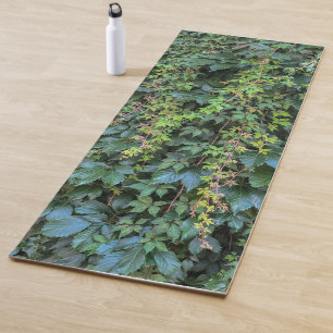Tapete De Yoga Serene Green Ivy Wall Prendendo Folhas de Plantas