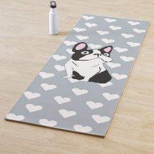Terrier de Boston