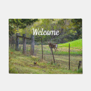 Tapete Deer E Um Esquilo Painternamente Bem-Vindo, Doorma