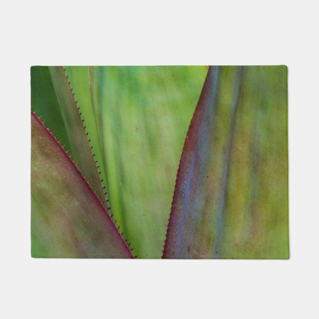 Tapete Detalhes da Planta Agave (Frente)