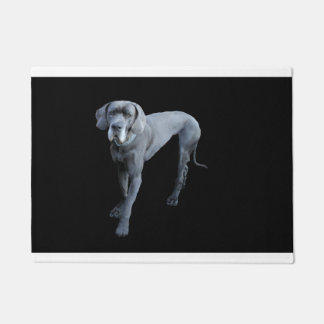 Tapete Dinamarquês azul