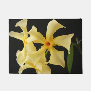 Tapete Dmcn de Flores de Jasmim Star
