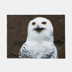 Tapete dmcn Snowy Owl