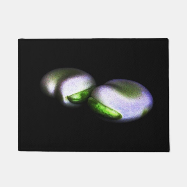 Tapete Dmcna de dois feijões (Frente)