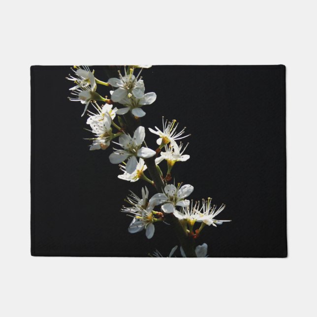 Tapete Dmcnm das flores do Hawthorn (Frente)