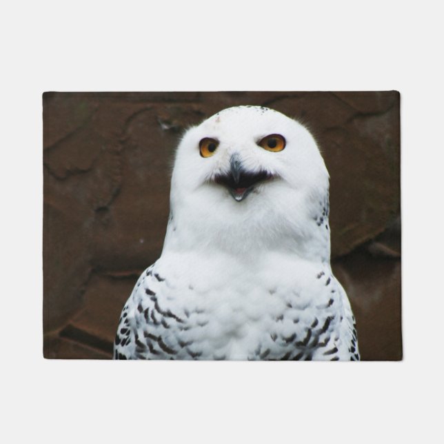 Tapete Dmcnm Snowy Owl (Frente)