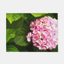 Dobra de hydrangea rosa