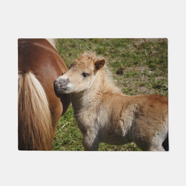 Tapete Doce Haflinger Foal (Frente)