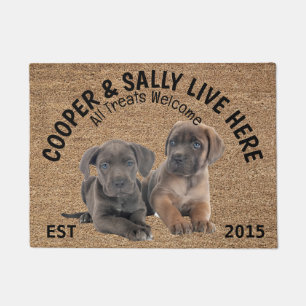 Tapete Dois Cachorros Personalizados do Câncer Cane