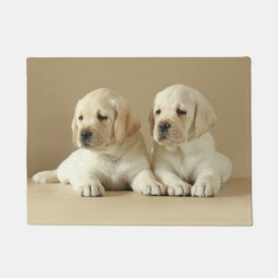 Tapete Dois Ouros De Labrador