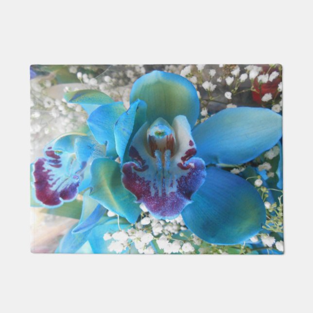 Tapete Donella (Frente)