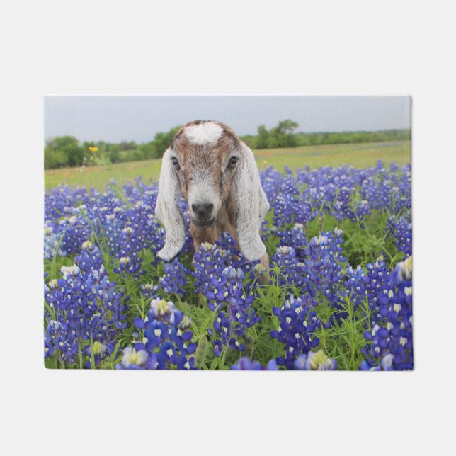 Tapete Doormat da cabra do bebê (Frente)