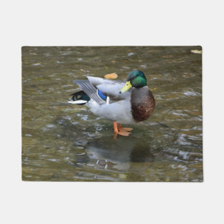 Tapete Doormat da pose do pato do pato selvagem