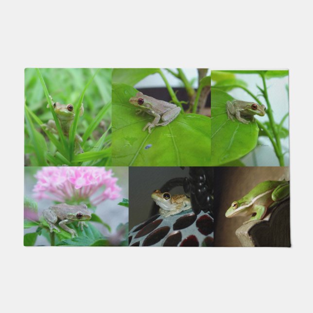 Tapete Doormat de muitos sapos de árvore do bebê (Frente)