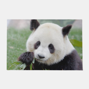 Tapete Doormat Photo gigant panda , animais 0155.