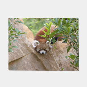Tapete Doormat Photo red panda, animais 0233.