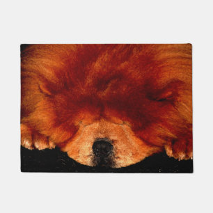 Tapete Dormindo Chow Chow Dmm