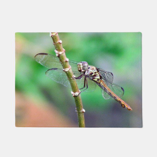 Tapete Dragonfly Doormat (Frente)