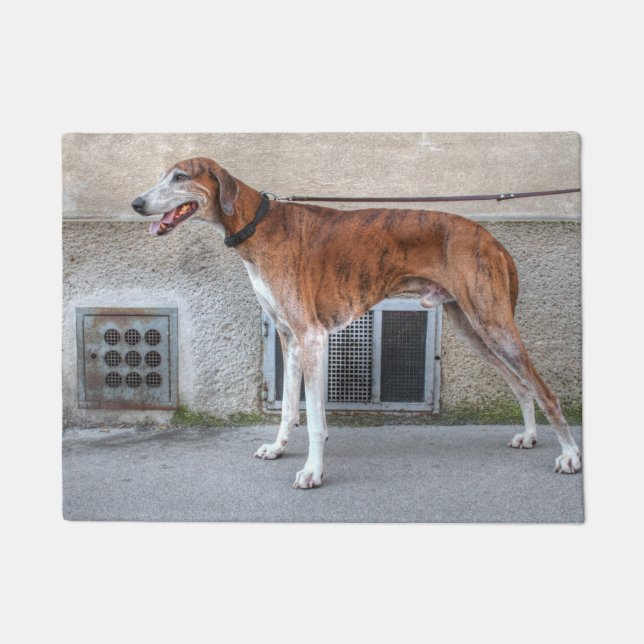 Tapete Elder Brindle Greyhound (Frente)