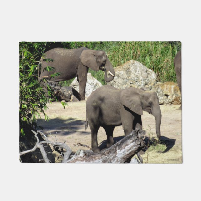 Tapete Elefante - Porta (Frente)