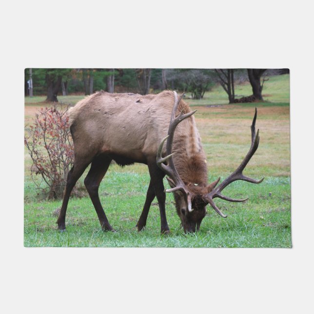 Tapete Elk Doormat (Frente)