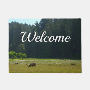 Tapete Elk Meadow no Parque Nacional Redwood