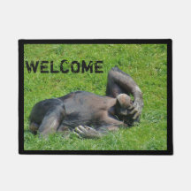 Engraçado Chimpanzee Foto de Boas-vindas