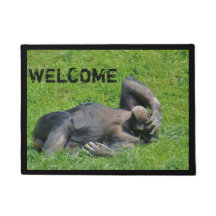 Engraçado Chimpanzee Foto de Boas-vindas