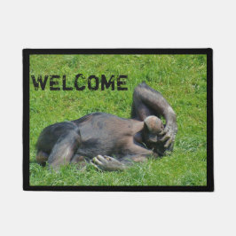 Tapete Engraçado Chimpanzee Foto de Boas-vindas