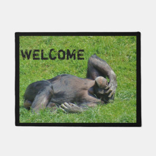 Tapete Engraçado Chimpanzee Foto de Boas-vindas