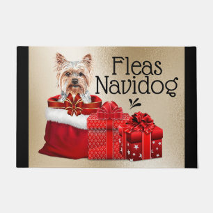 Tapete Engraçado, vozes de Natal pulam presentes no Nata