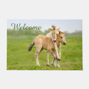 Tapete Engraçado Wild Konik Horses Foals tocando - Bem-vi