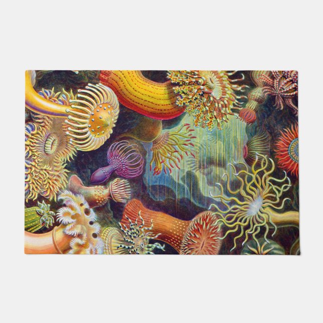Tapete Ernst Haeckel Sea Anemones Marine:Actiniae (Frente)