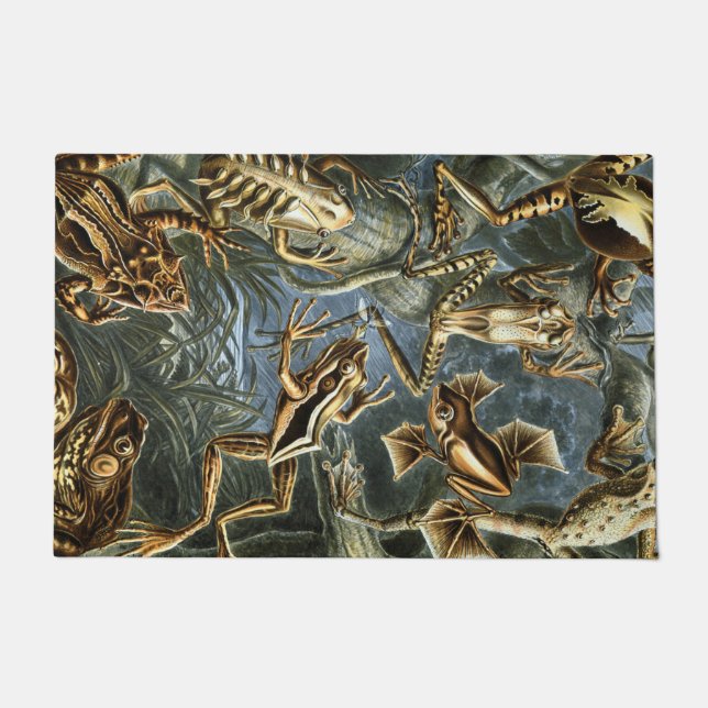 Tapete Ernst Haeckel variedade de sapos exóticos:Batrachi (Frente)