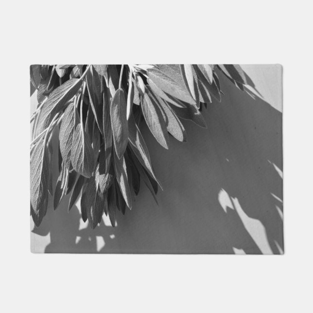 Tapete Escala de Cinza de Fresco (Frente)