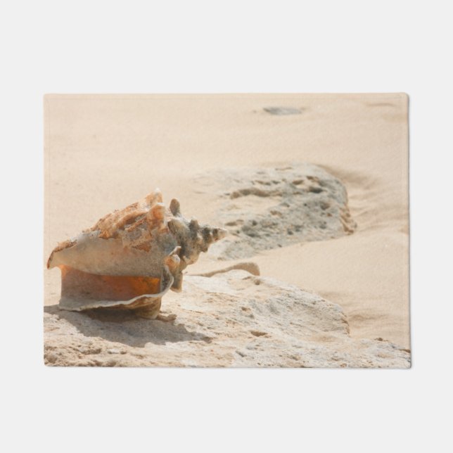 Tapete Escudos do mar na praia (Frente)