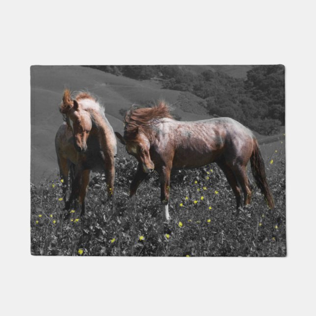 Tapete Espato do garanhão (Frente)