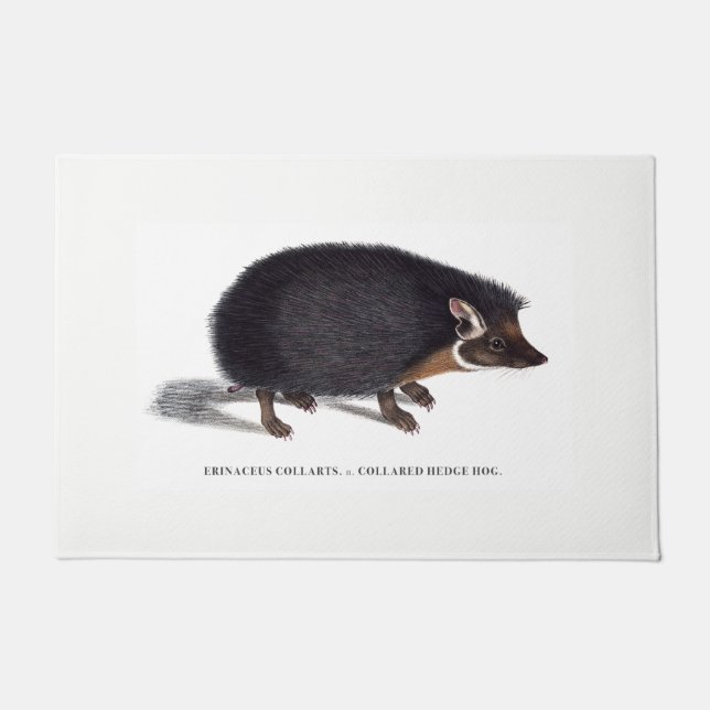 Tapete Esteira de porta do ouriço (Frente)