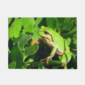 Tapete Esteira de porta do sapo